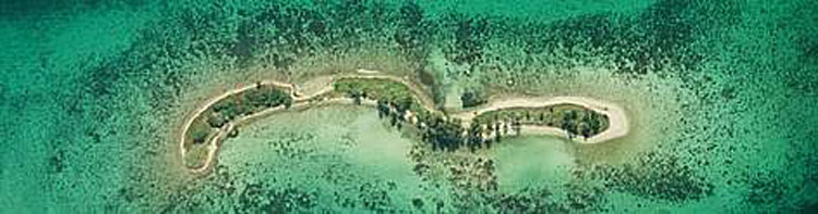 The-MesoAmerican-Barrier-Reef1